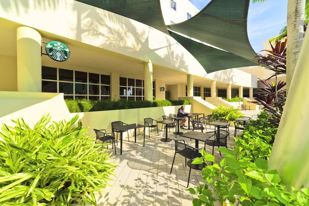STARBUCKSHOLYCROSS2